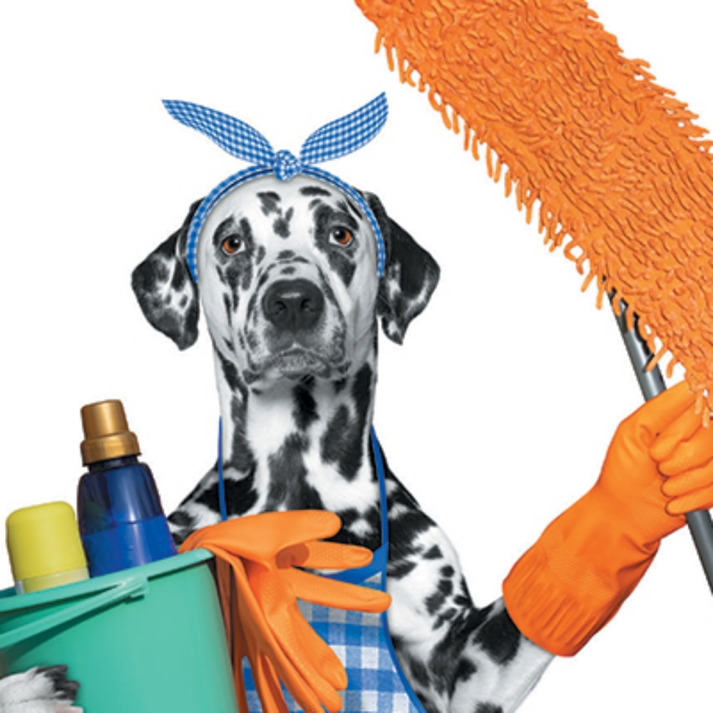 Sanitized and disinfected items for health &safety